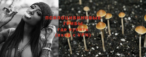 PSILOCYBIN Няндома