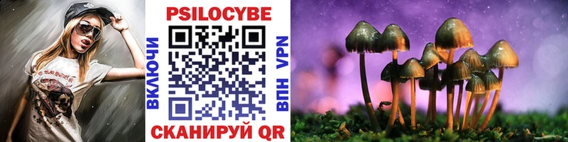 где купить   Приволжск  Галлюциногенные грибы Magic Shrooms 